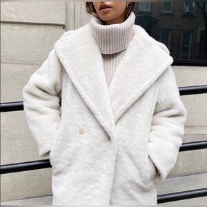 Aritzia Babaton Teddy coat